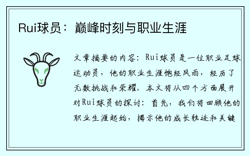 Rui球员：巅峰时刻与职业生涯