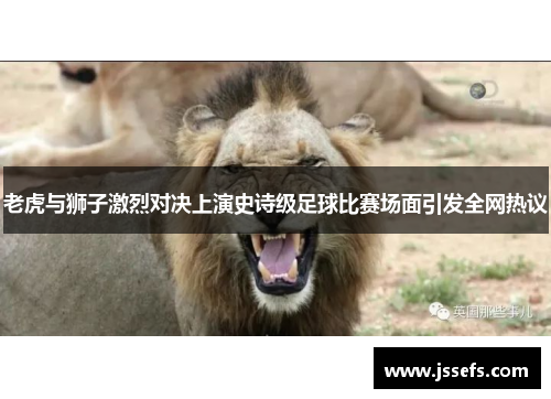 老虎与狮子激烈对决上演史诗级足球比赛场面引发全网热议